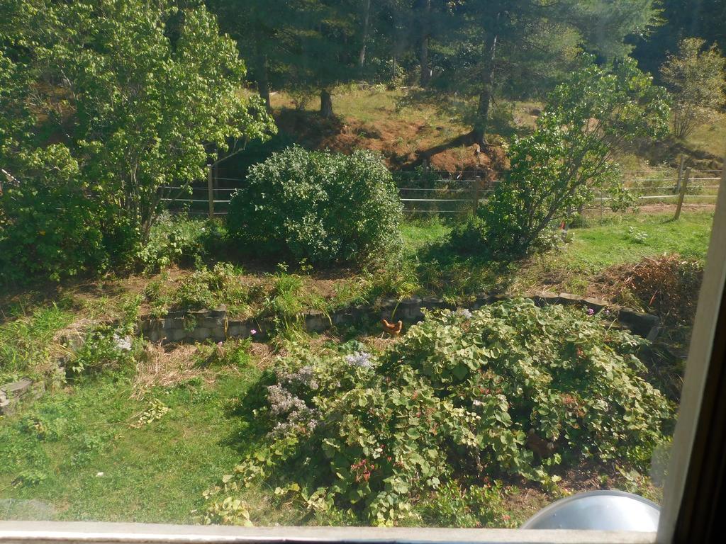 诺维欧农场住宿加早餐旅馆 Rumford 外观 照片