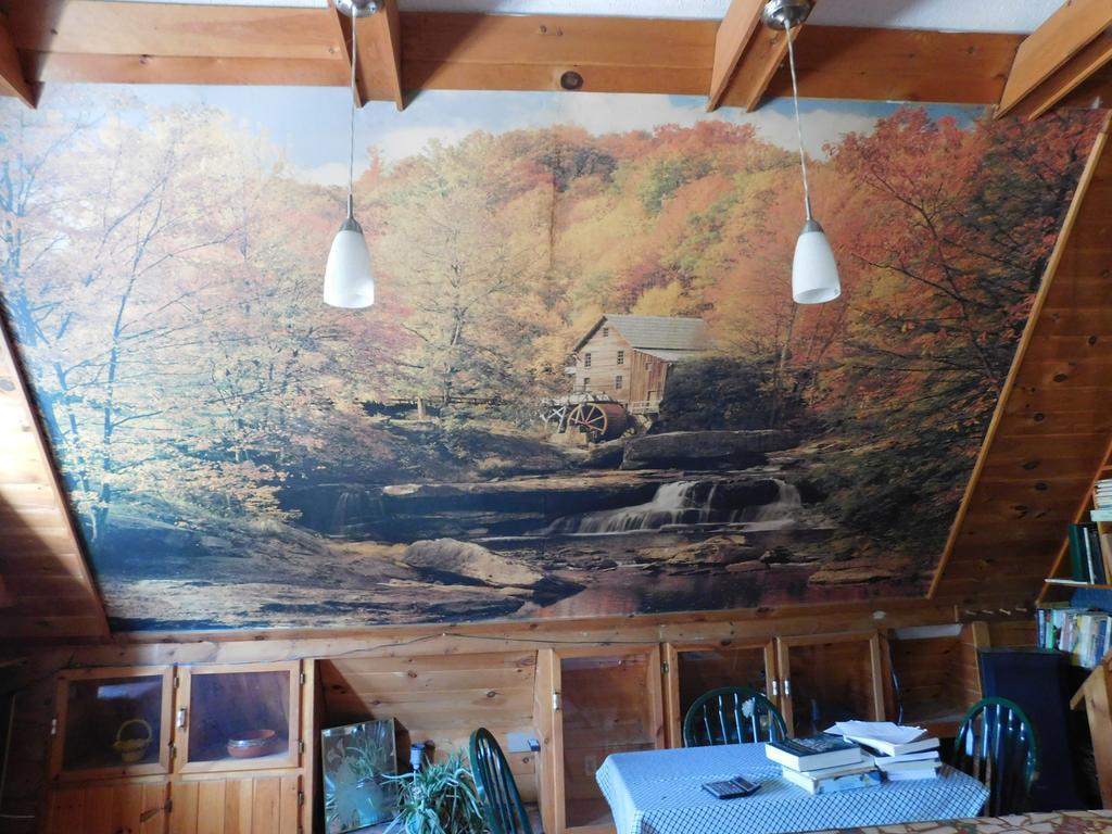 诺维欧农场住宿加早餐旅馆 Rumford 外观 照片